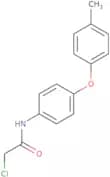 2-Chloro-N-[4-(4-methylphenoxy)phenyl]acetamide