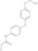 2-Chloro-N-[4-(4-ethoxyphenoxy)phenyl]acetamide