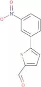 5-(3-Nitrophenyl)thiophene-2-carbaldehyde