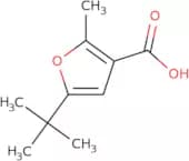 5-tert-Butyl-2-methyl-3-furoic acid