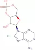 8-Chloroadenosine 3',5'-cyclic monophosphate
