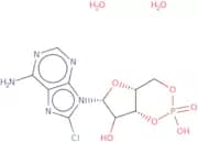 8-Chloroadenosine 3',5'-cyclic monophosphate dihydrate