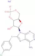 8-(4-Chlorophenylthio)adenosine 3',5'-cyclic monophosphate monosodium salt