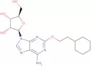 2-(2-Cyclohexylethoxy)adenosine