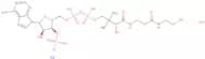 Coenzyme A sodium salt hydrate