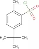 5-tert-Butyl-2-methyl-benzenesulfonyl chloride