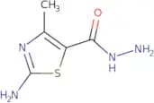 2-Imino-4-methyl-2,3-dihydro-1,3-thiazole-5-carbohydrazide