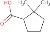 2,2-Dimethylcyclopentane-1-carboxylic acid