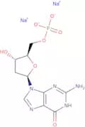 2'-Deoxyguanosine-5'-monophosphate disodium salt