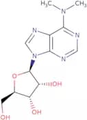 6-Dimethylamino-9-(b-D-ribofuranosyl)purine