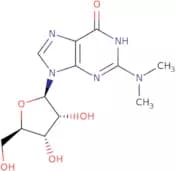 N2,N2-Dimethylguanosine