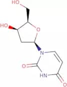 2'-Deoxyuridine