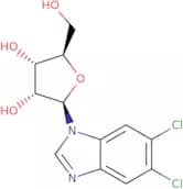5,6-Dichlorobenzimidazole-1-b-D-ribofuranoside