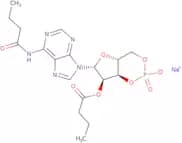 N6,2'-O-Dibutyryladenosine-3',5'-cyclic monophosphate sodium