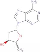 2',5'-Dideoxyadenosine