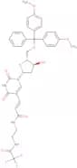 5'-O-DMT-5-[N-(2-(trifluoroacetamido)ethyl)-3-E-acrylamido]-2'-deoxyuridine