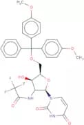 2'-Deoxy-5'-O-DMT-2'-trifluoroacetamidouridine