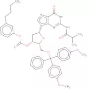 2'-Deoxy-5'-O-DMT-N2-isobutyryl-3'-xanthylguanosine