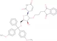 5'-O-DMT-2'-O-propylphthalimidouridine
