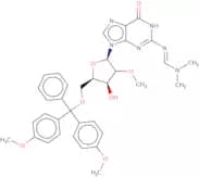 N2-DMF-5'-O-DMT-2'-O-methylguanosine