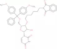 5'-O-DMT-3'-O-hexylphthalimidouridine