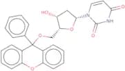 2'-Deoxy-5'-O-pixyluridine