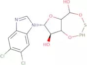 5,6-Dichloro-(1-b-D-ribofuranosyl) benzimidazole 3',5'-cyclic monophosphothioate, Sp-isomer sodium…