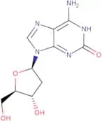 2’-Deoxyisoguanosine