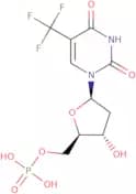 2'-Deoxy-5-trifluoromethyluridine-5'-monophosphate