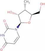 3'-Deoxy-3'-C-methyluridine