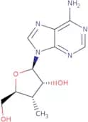 3’-Deoxy-3’C-methyladenosine