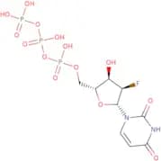 2'-Deoxy-2'-fluorouridine-5'-triphosphate sodium salt - 100mM aqueous solution
