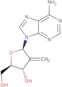 2'-Deoxy-2'-methyleneadenosine
