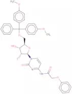 2'-Deoxy-5'-O-DMT-2'-fluoro-N4-phenoxyacetylcytidine