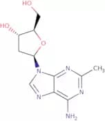 2’-Deoxy-2-methyladenosine