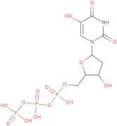 2'-Deoxy-5-hydroxyuridine 5'-triphosphate
