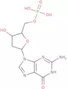 2'-Deoxyguanosine-5'-monophosphate free acid