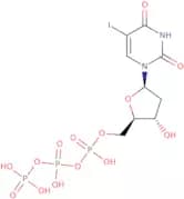 2'-Deoxy-5-iodouridine-5'-triphosphate sodium salt - 10mM aqueous solution