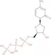 2'-Deoxycytidine-5'-O-(1-thiotriphosphate) sodium salt - 10 mM aqueous solution