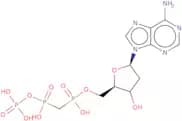 2'-Deoxyadenosine-5'-[(a,b)-methyleno]triphosphate sodium salt - 10 mM aqueous solution