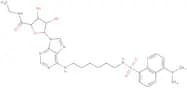 N6-Dansylhexyl-5'-ethylcarboxamidoadenosine