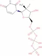 2'-Deoxy-2'-fluoro-2'-C-methyluridine 5'-triphosphate sodium salt