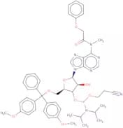 5'-O-DMT-N6-methyl-N6-phenoxyacetyladenosine 3'-CE phosphoramidite