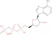 3'-Deoxyadenosine-5'-triphosphate sodium salt - 10mM aqueous solution