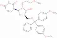 5'-O-DMT-2'-O-(2-methoxyethyl)uridine