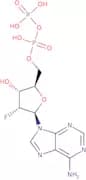 2'-Deoxy-2'-fluoroadenosine-5'-diphosphate