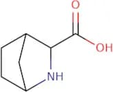 2-Azabicyclo[2.2.1]heptane-3-carboxylic acid