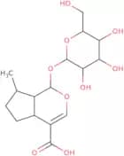 (4aR,7aR)-7-Methyl-1-[3,4,5-trihydroxy-6-(hydroxymethyl)oxan-2-yl]oxy-1,4a,5,6,7,7a-hexahydrocyclo…