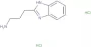 3-(1H-1,3-Benzodiazol-2-yl)propan-1-amine dihydrochloride