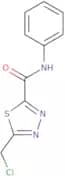 5-(Chloromethyl)-N-phenyl-1,3,4-thiadiazole-2-carboxamide